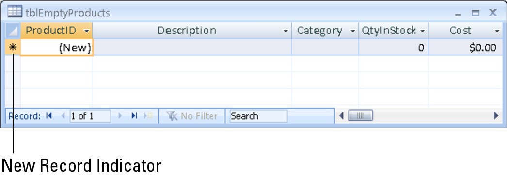 An empty datasheet. Notice that the first record is blank and has an asterisk in the record selector.